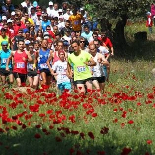 “Παντροιζηνιακοί αγώνες” & “Ποσειδώνια”