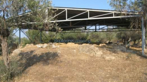 Στιγμιότυπο οθόνης 2025-05-06 180918
